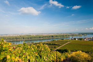 Blick auf Nierstein am Rhein (Roter Hang) - Foto: Dominik Ketz © Rheinland-Pfalz Tourismus GmbH