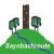 Saynbachroute-logo